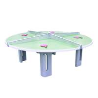 Butterfly R2000 Concrete Table Tennis Table