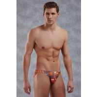 Doreanse 1397 Traveller Brief