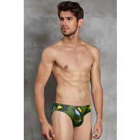 Doreanse 1273 Brief