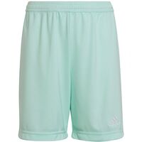 Adidas Junior Entrada 22 Shorts - Blue