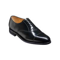 Arnold - Black Hi-Shine, E / 13.5