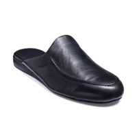 Birch - Black Leather, 11