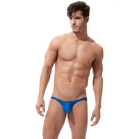 Gregg Homme Torridz Brief - Royal