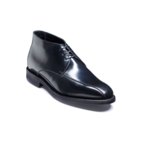 Abbott - Black Hi-Shine F / L, 5